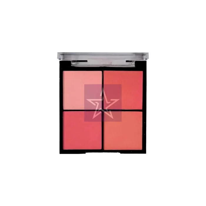 Technic Mega Matte Blush 11.2gm Face Makeup 1