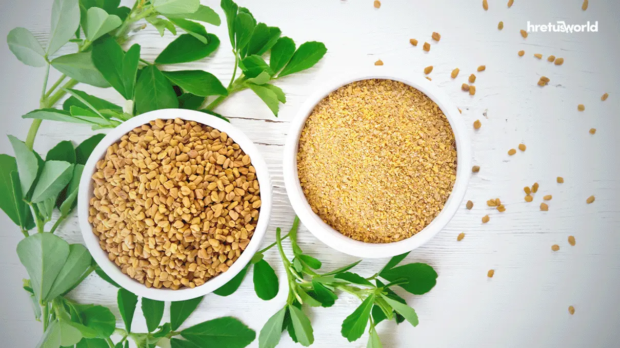 fenugreek seed