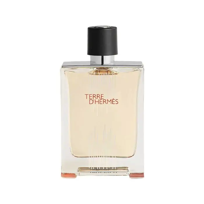 Terre D'Hermes Eau De Toilette 100ml, SKU: 3346131400003